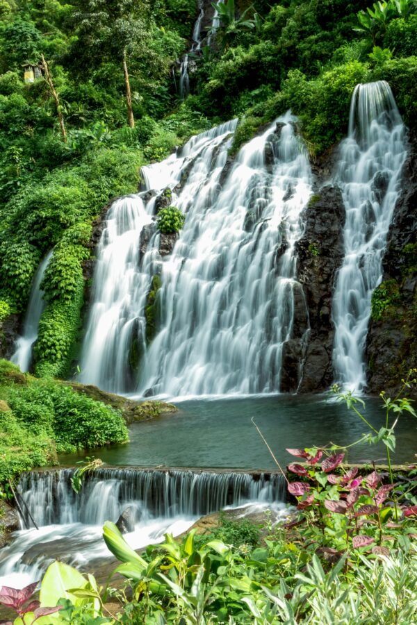 Best UBUD tour - all inclusive - Image 5