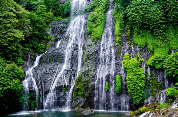 Best North Bali Tour